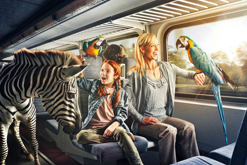 智能进程管理的免费ddos平台攻击